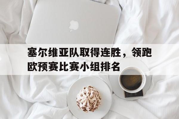 塞尔维亚队取得连胜，领跑欧预赛比赛小组排名